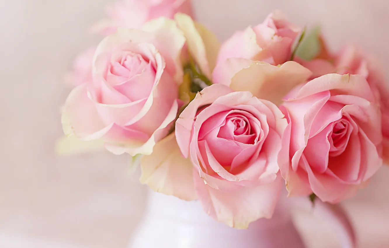 Фото обои розы, букет, розовые, кувшин