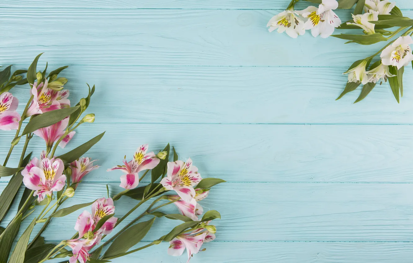Фото обои цветы, colorful, wood, pink, flowers, beautiful, spring, lily
