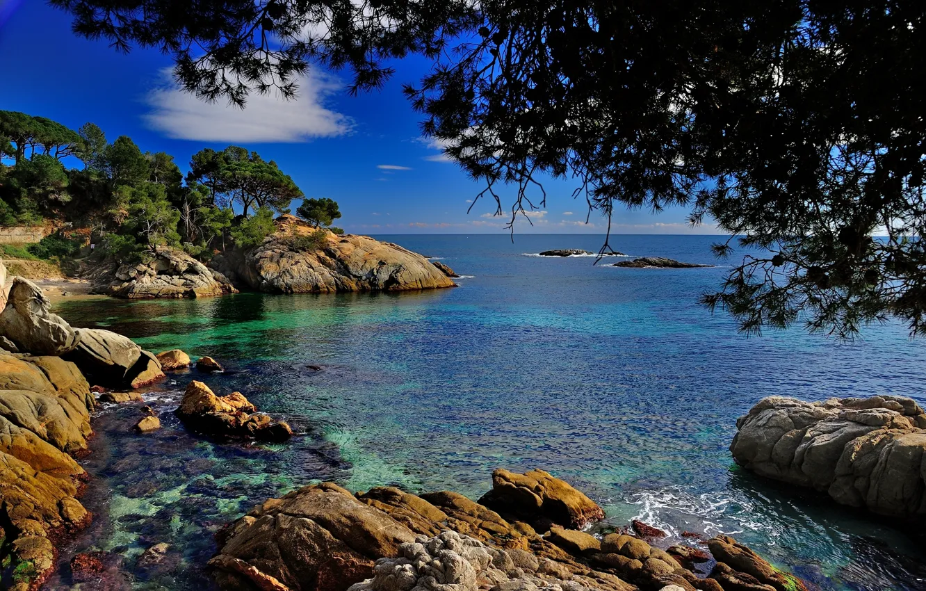 Фото обои ветки, камни, побережье, Испания, Spain, Каталония, Средиземное море, Costa Brava