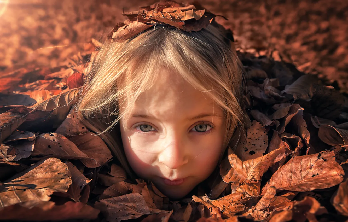 Фото обои взгляд, листья, солнце, девочка