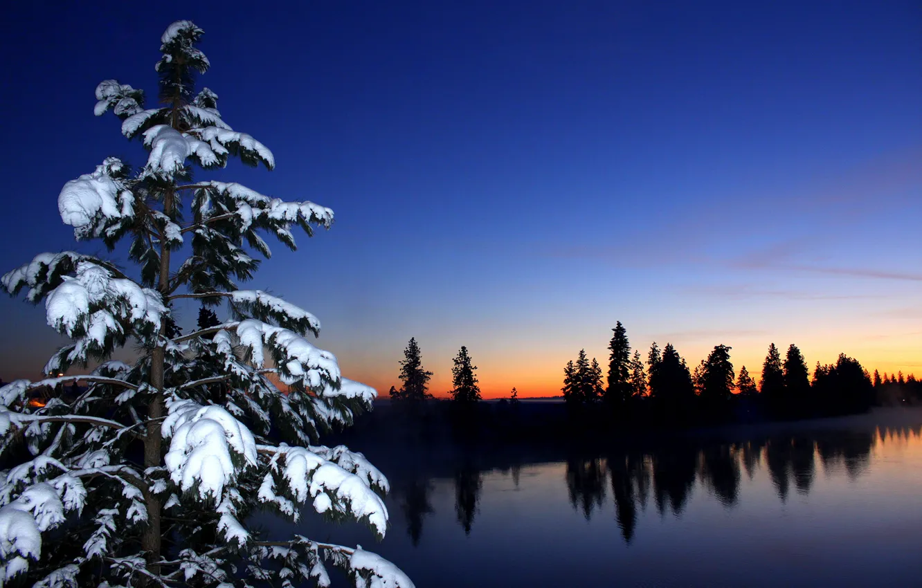 Фото обои зима, лес, небо, снег, закат, река, ель