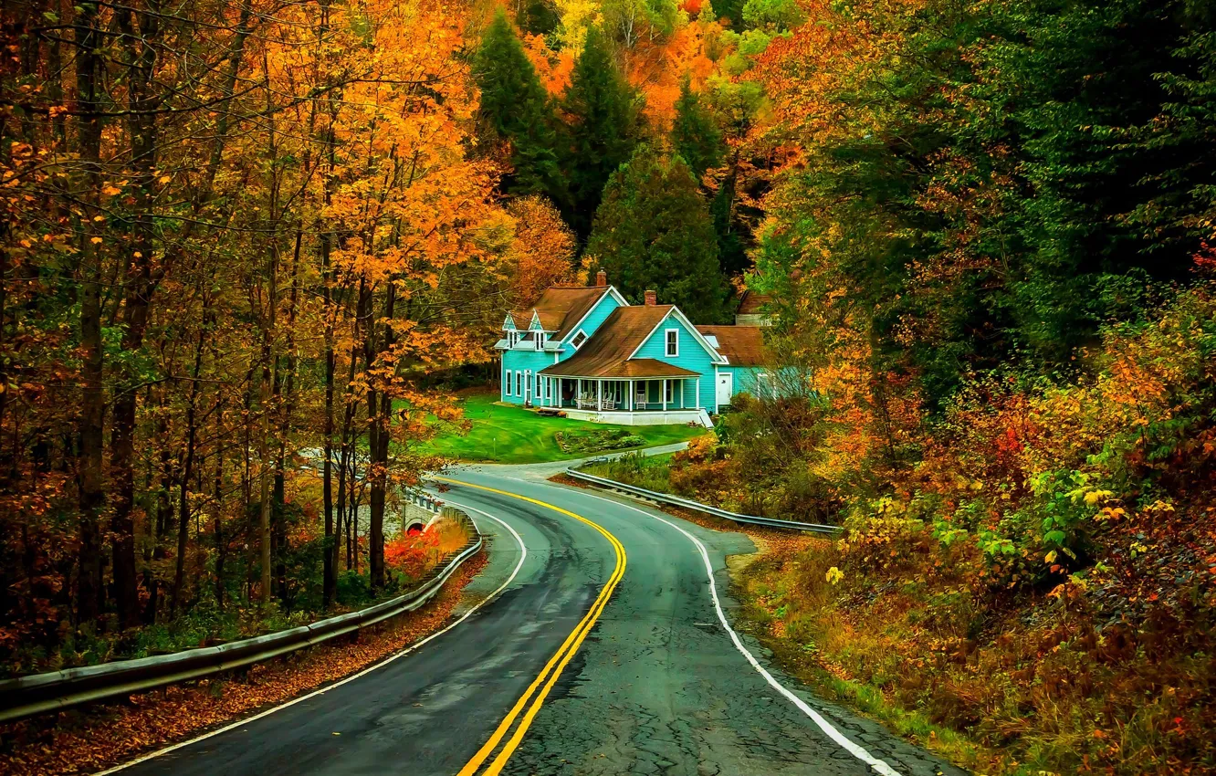 Фото обои дорога, осень, лес, трава, листья, деревья, природа, дом