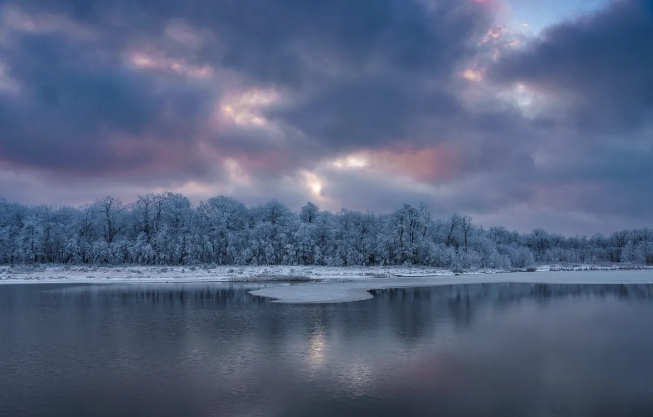 Фото обои зима, лес, природа, озеро