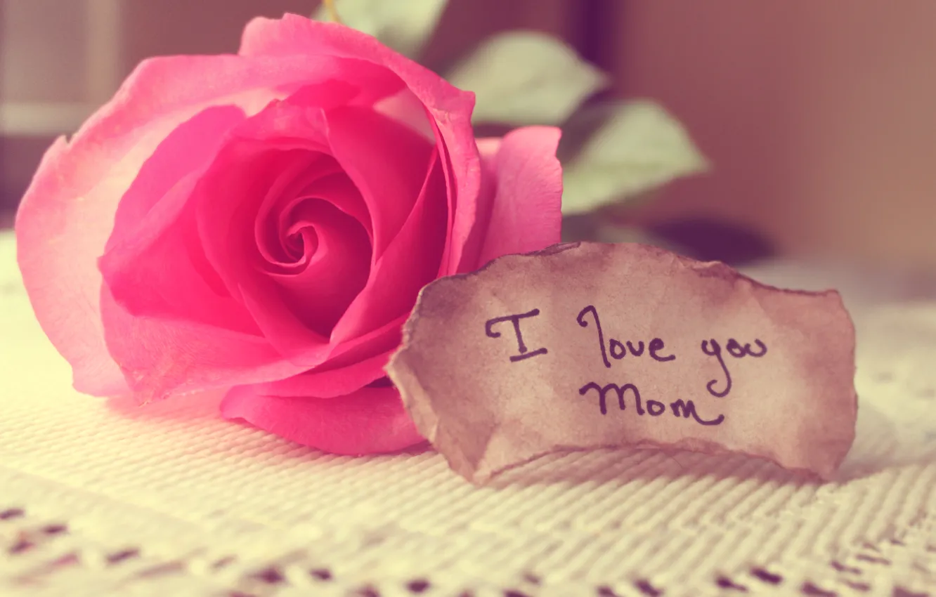 Фото обои любовь, роза, записка, слова, мама, скатерть