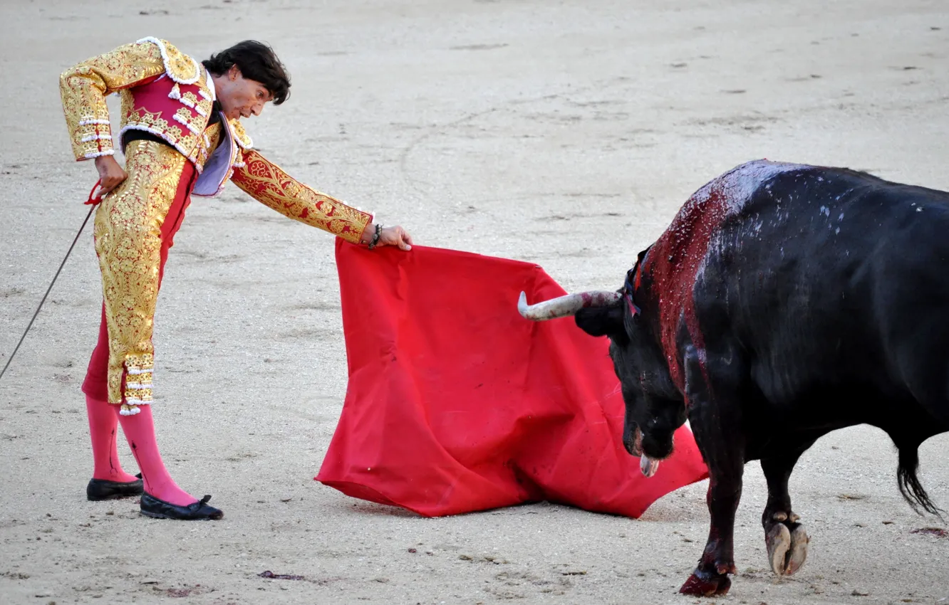 Фото обои Испания, бык, тореадор