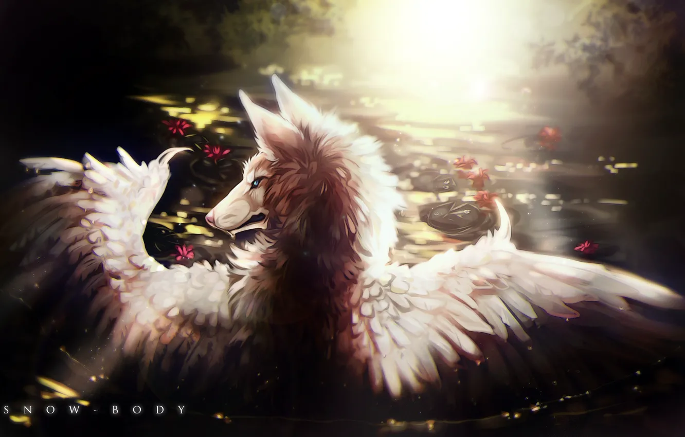 Фото обои природа, пруд, волк, крылья, by Snow-Body