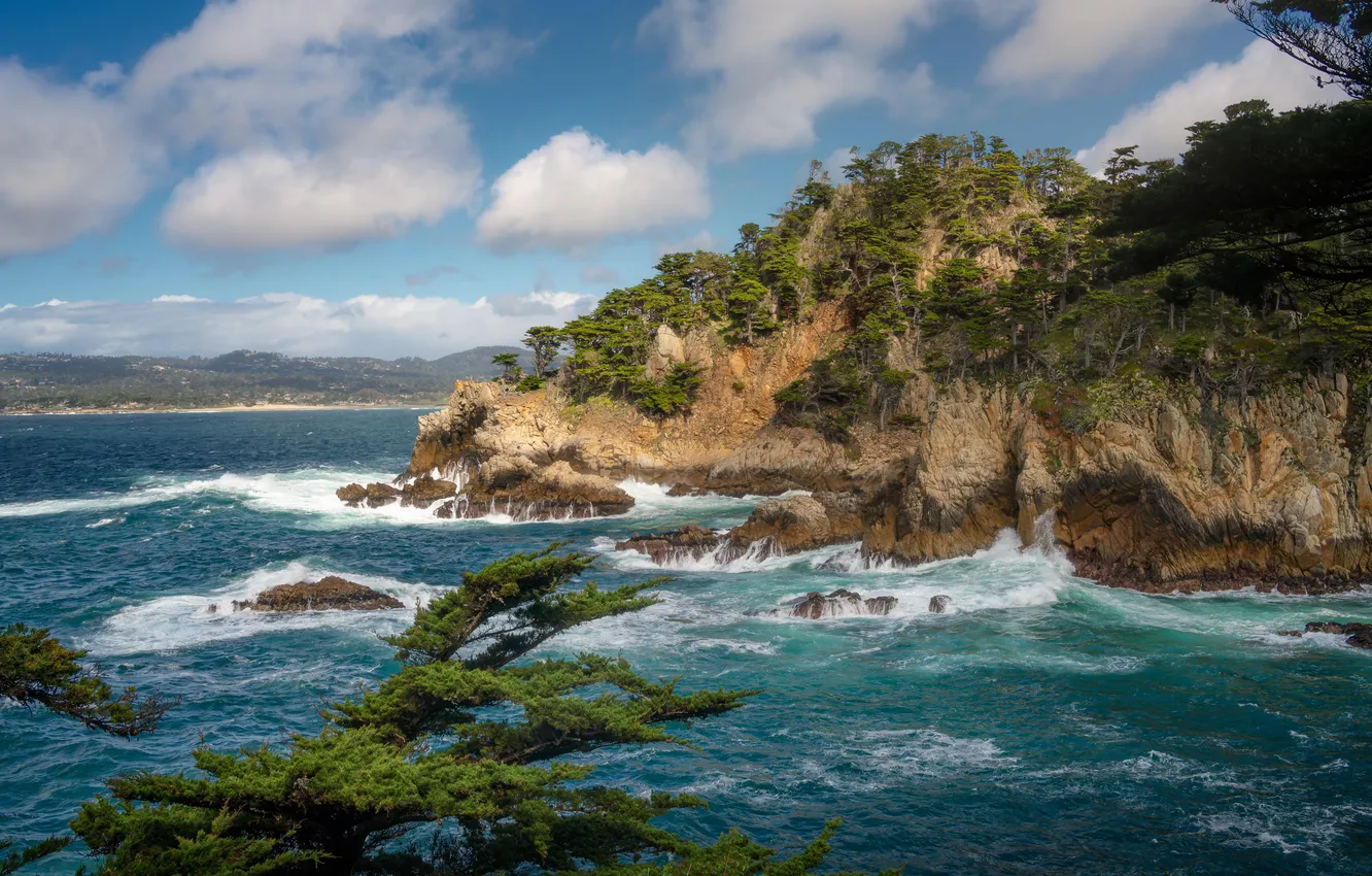 Фото обои sky, trees, ocean, coast, California, rocks, surf, Trail Point Lobos