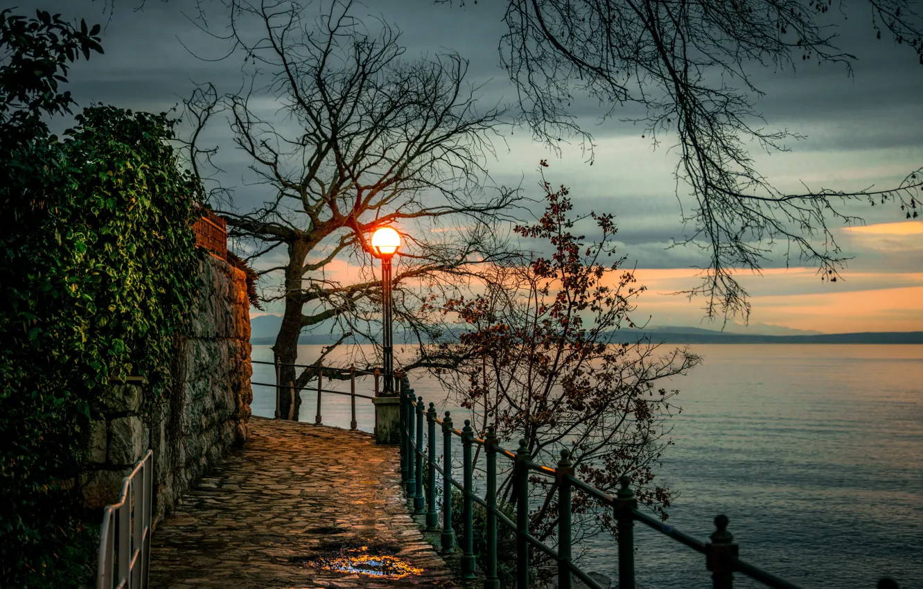 Фото обои деревья, закат, ветки, берег, вечер, фонарь, залив, Хорватия