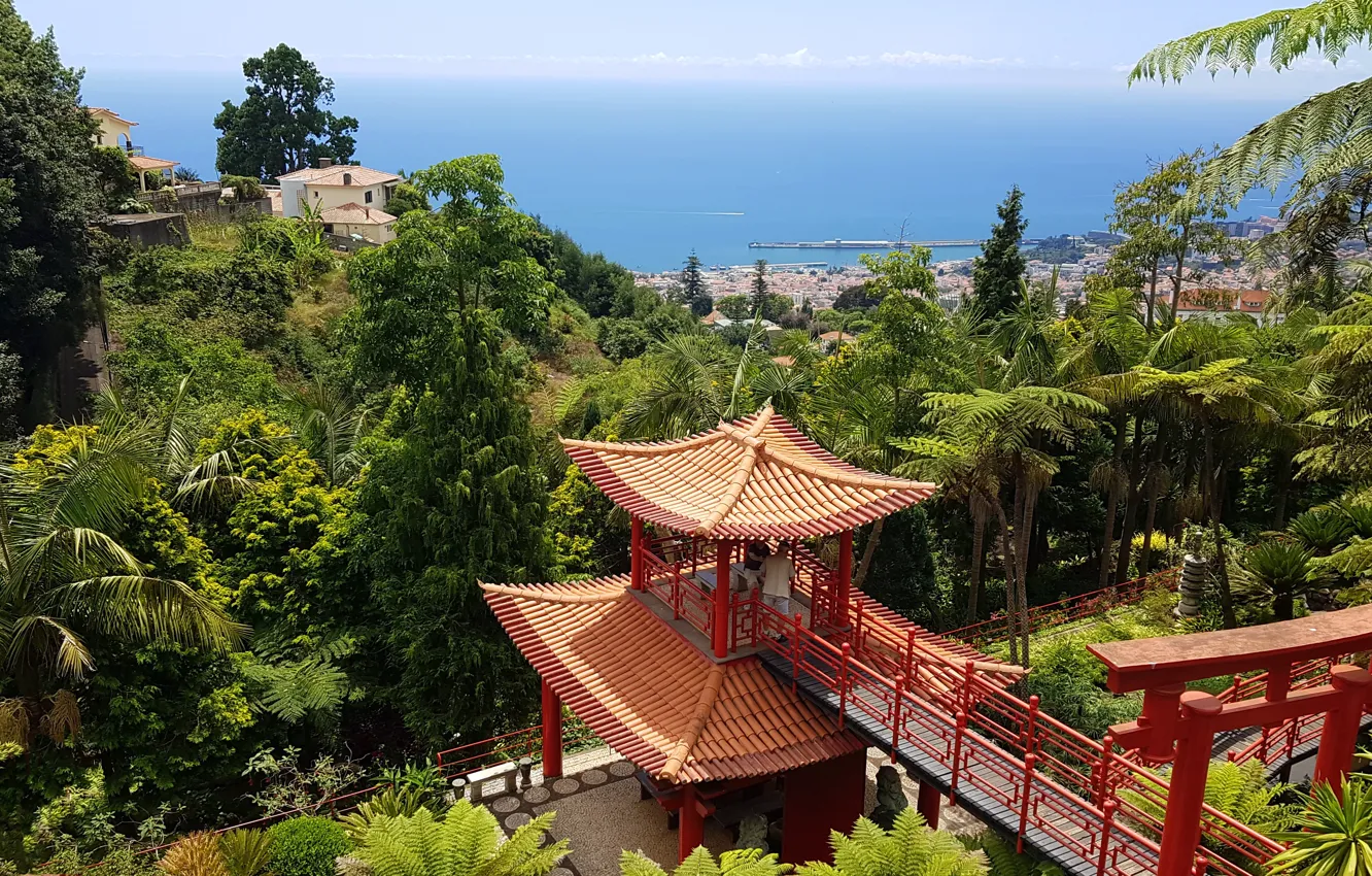 Фото обои природа, парк, остров, Madeira Island, Monte Palace Tropical Gardens