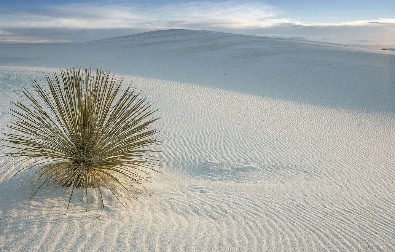 Фото обои пустыня, USA, США, New Mexico, San Miguel, White Sands National Monument