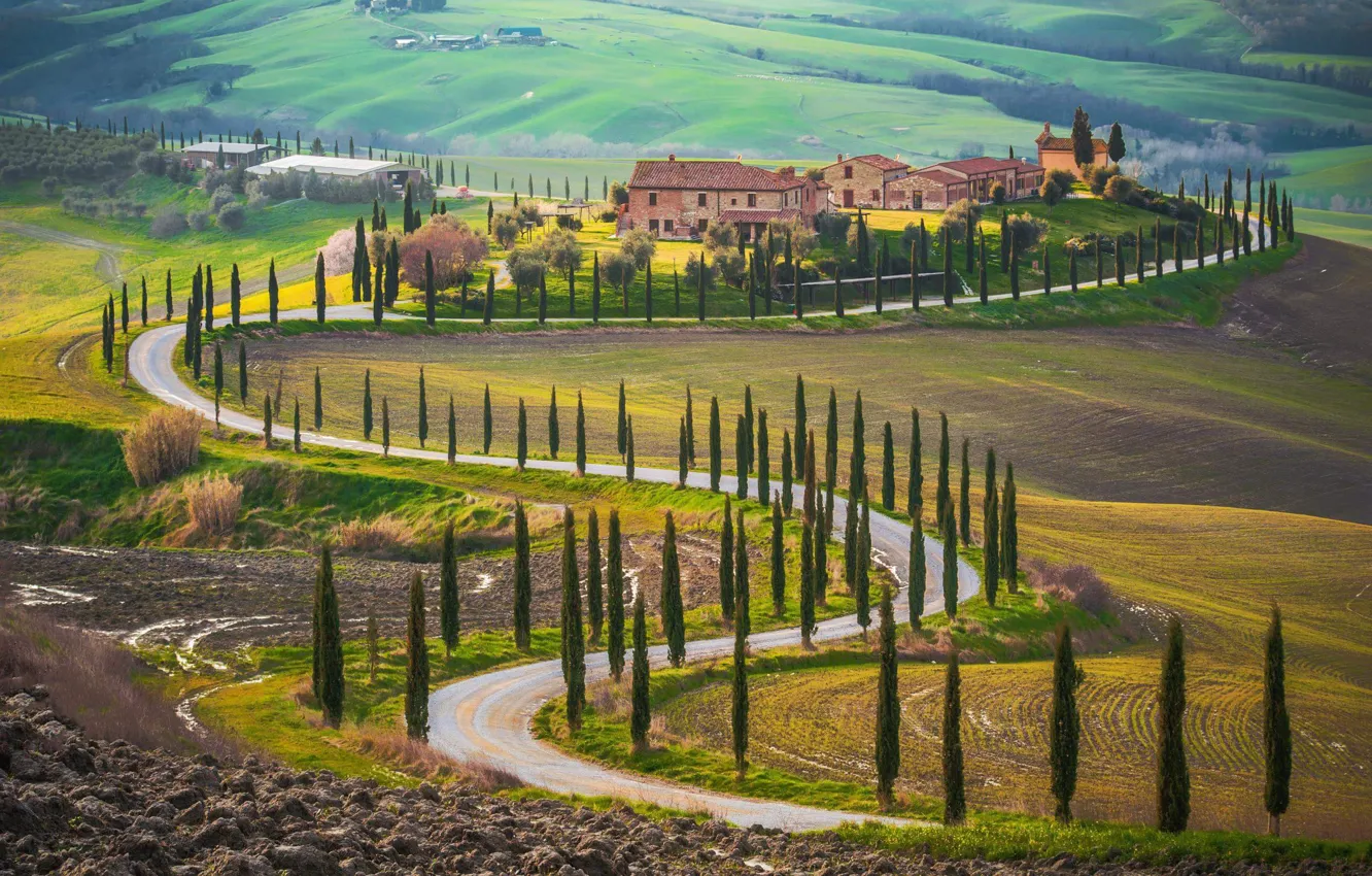 Фото обои дорога, деревья, поля, дома, Италия, Тоскана