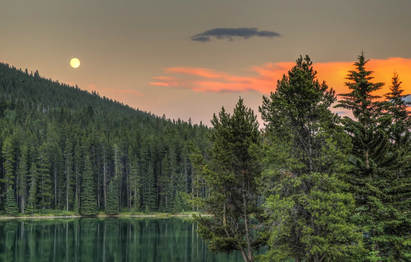 Фото обои лес, деревья, закат, озеро, Канада, Альберта, Banff National Park, Alberta