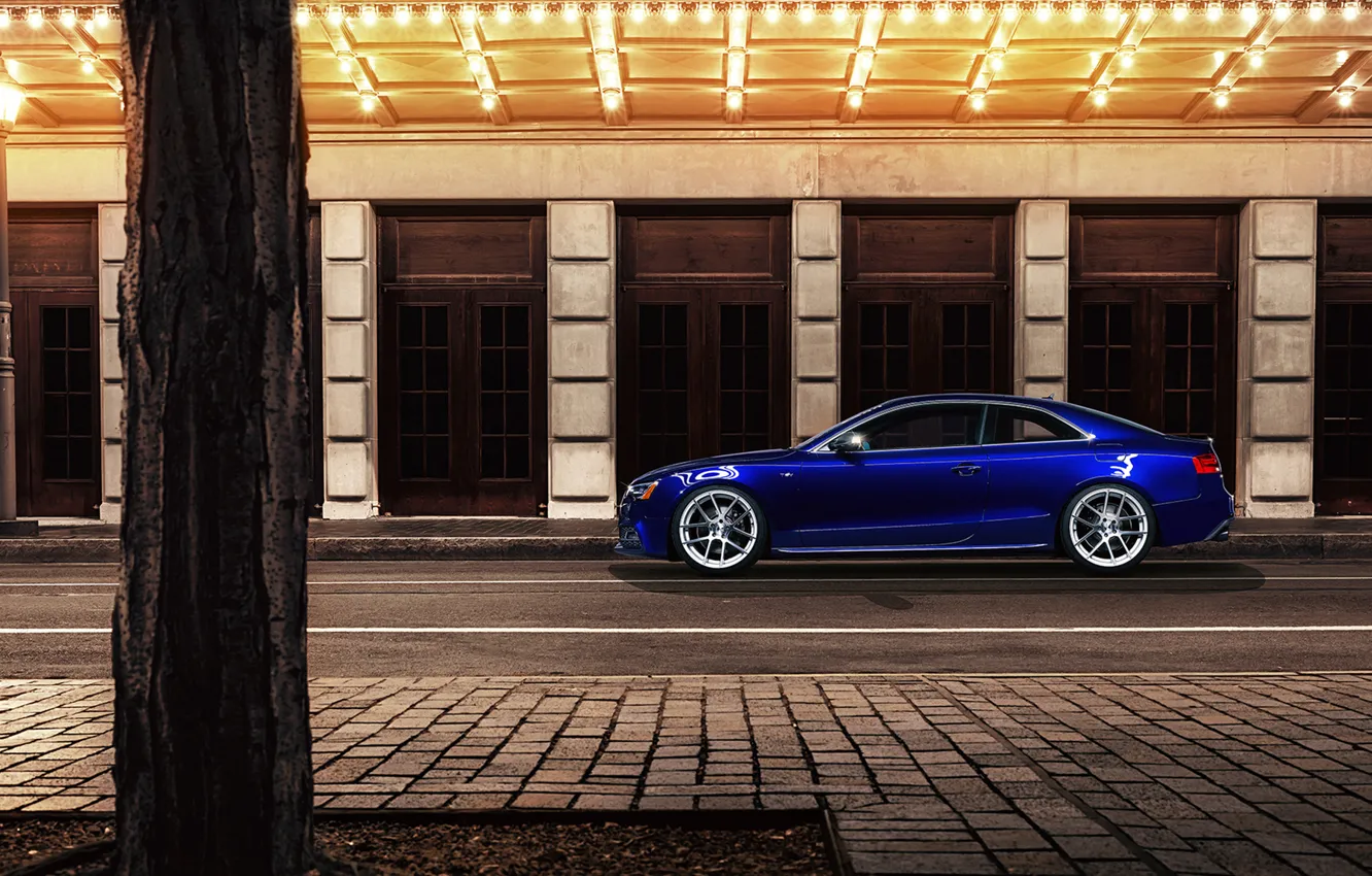 Фото обои ночь, синий, город, Audi, ауди, профиль, blue, coupe