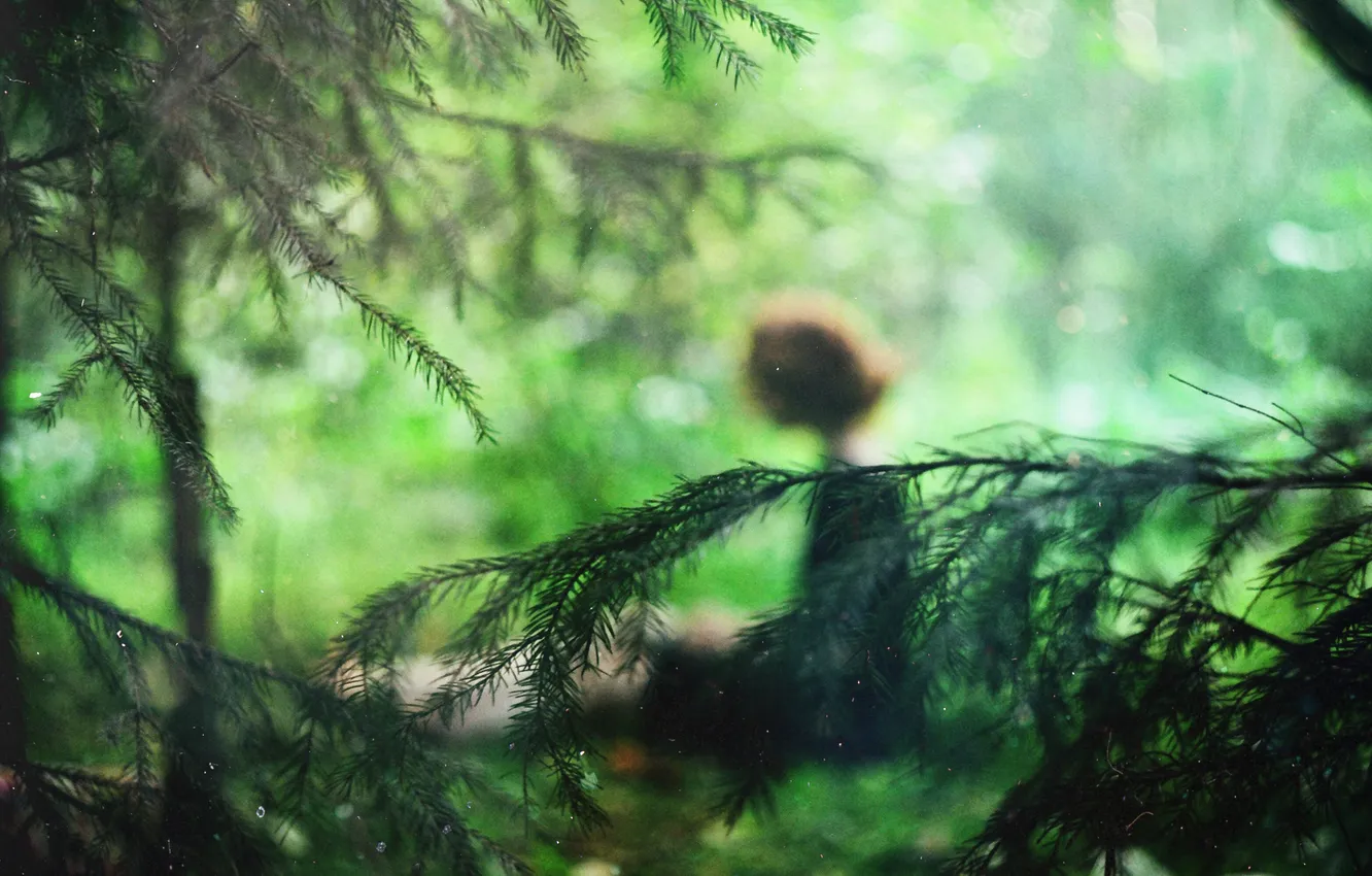 Фото обои зелень, лес, девушка, ветви, фигура, ёлки