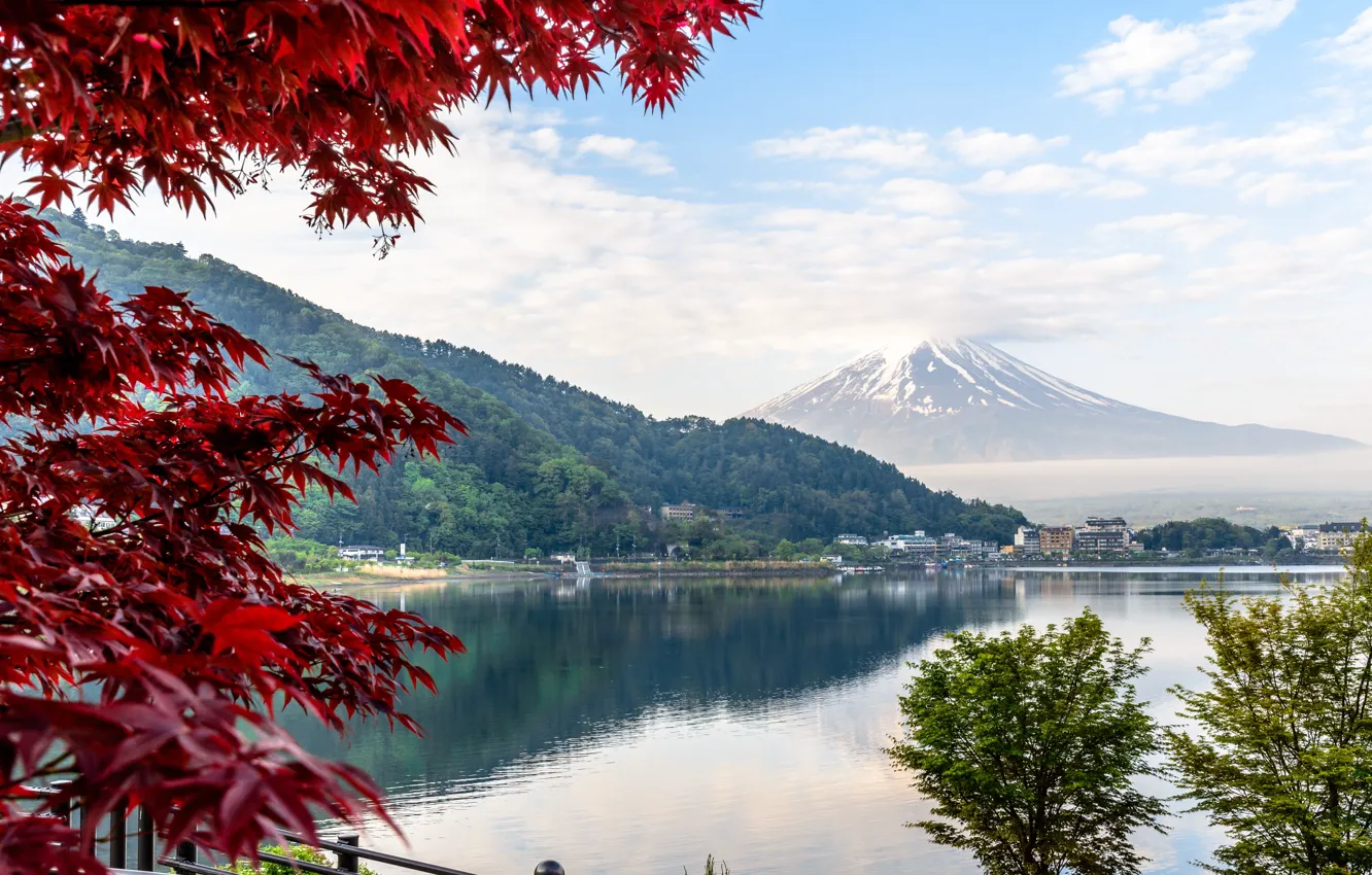 Фото обои Озеро, Япония, Гора, Берег, Фудзи, Пейзаж