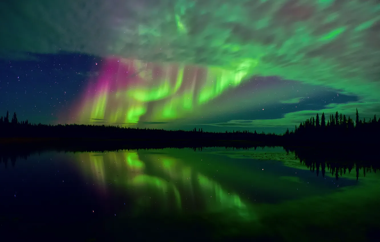 Фото обои лес, небо, звезды, отражения, ночь, озеро, выдержка, арктика