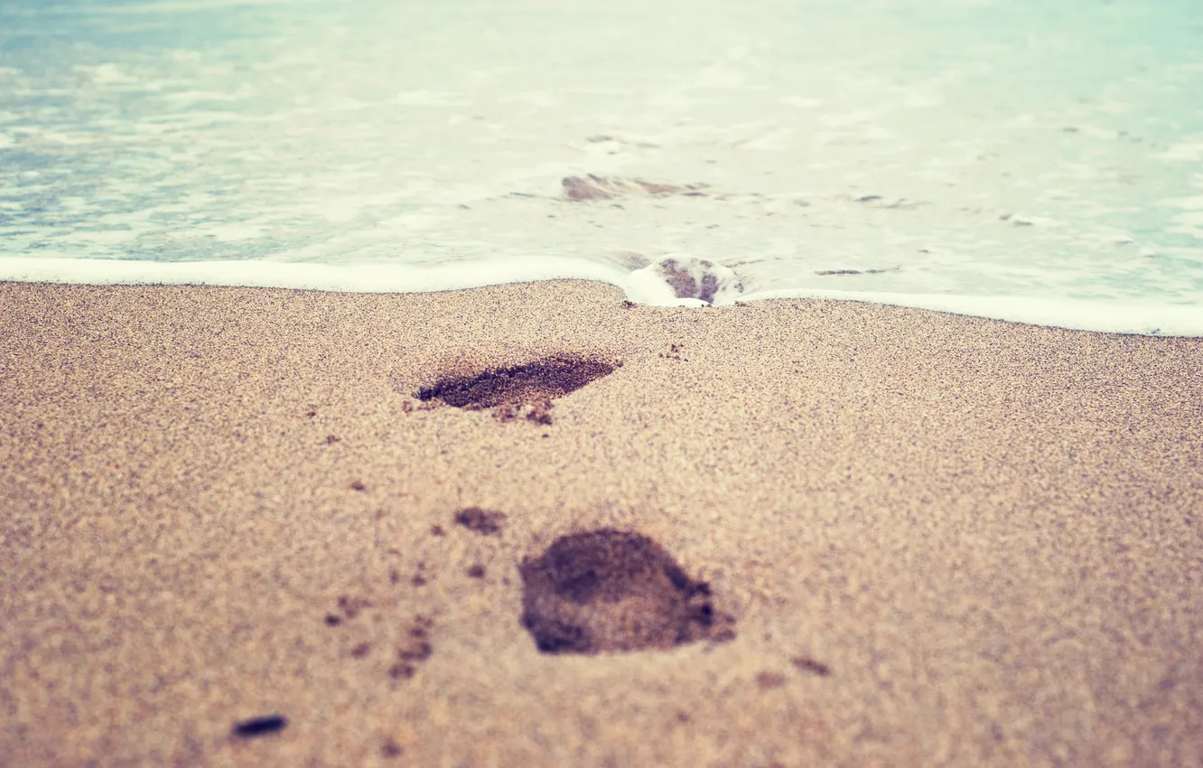 Фото обои песок, море, вода, макро, след, sea, water, macro