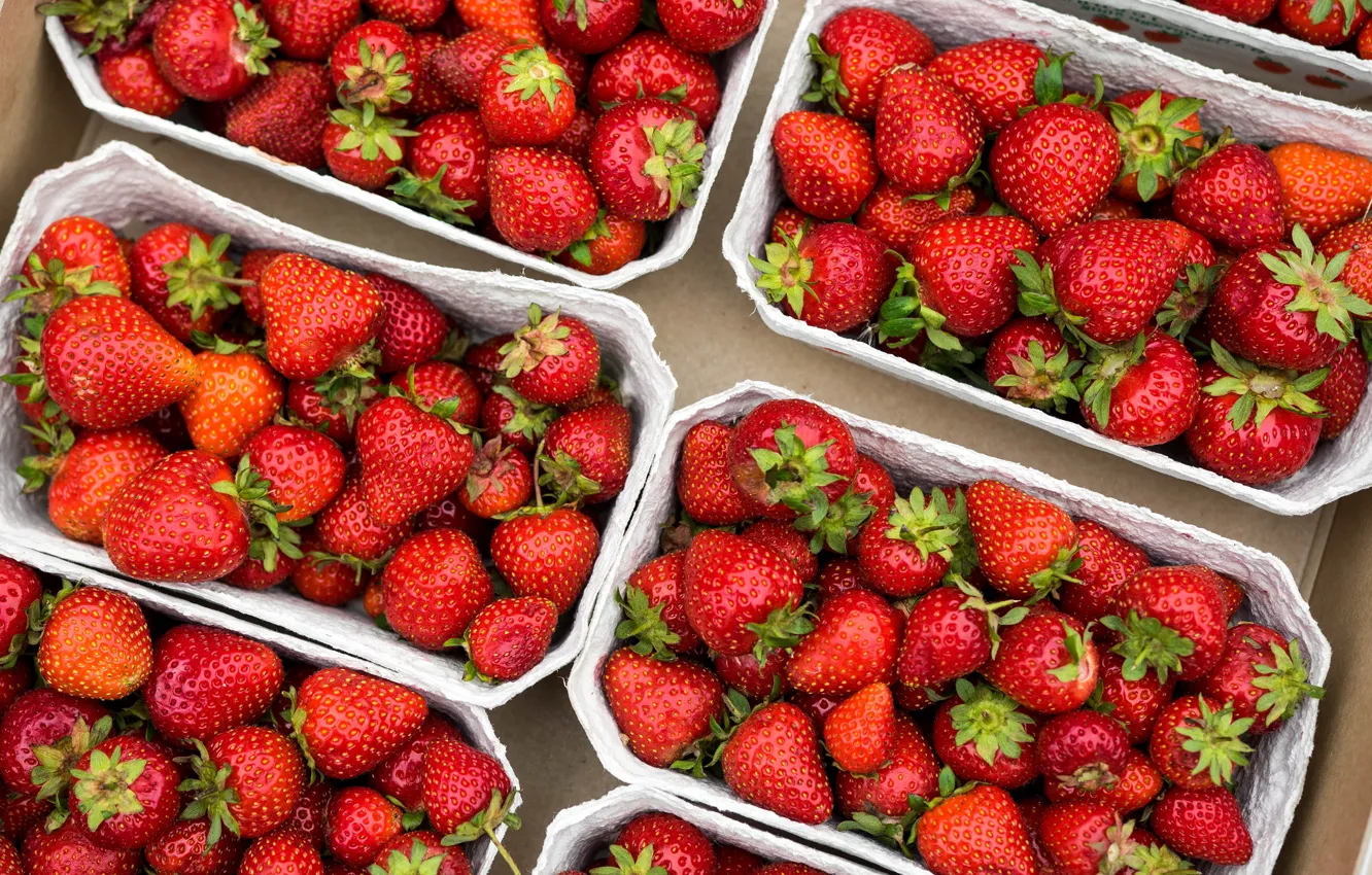 Фото обои ягоды, урожай, клубника, красные, много, контейнеры, упаковка, коробочки