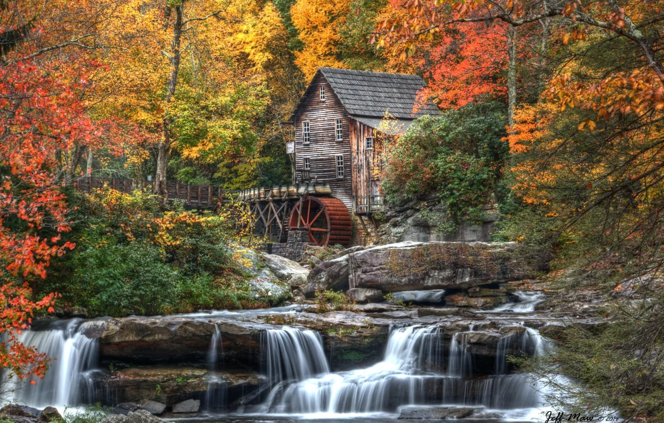 Фото обои осень, лес, листья, деревья, природа, дом, река