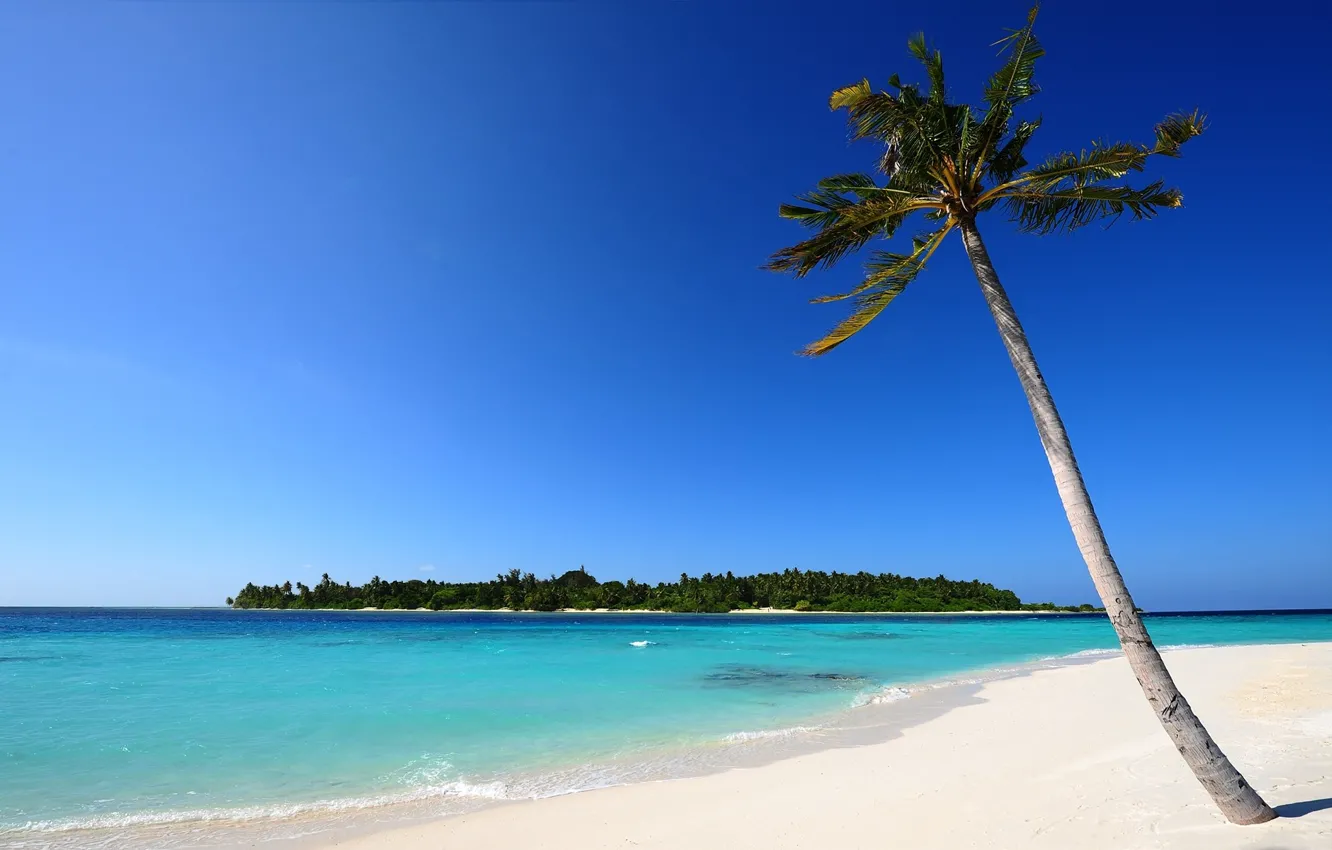 Фото обои песок, море, лето, небо, листья, вода, острова, деревья