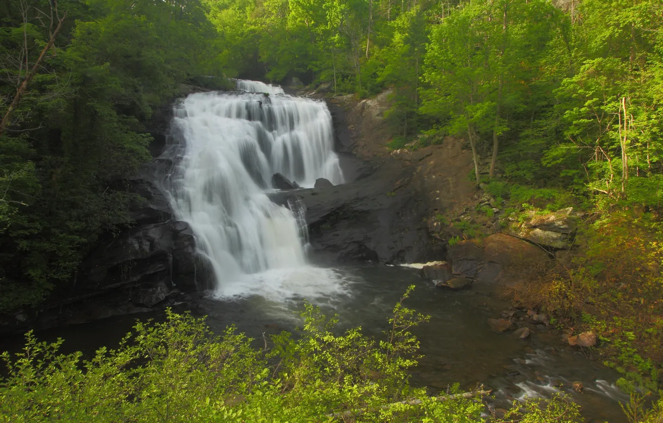 Фото обои зелень, лес, деревья, камни, скалы, водопад, США, Tennessee