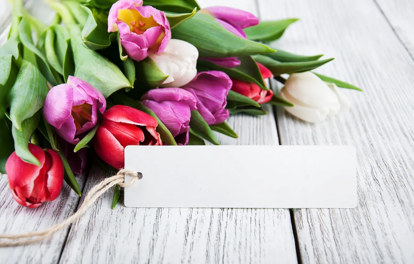 Фото обои цветы, букет, colorful, тюльпаны, wood, pink, flowers, tulips