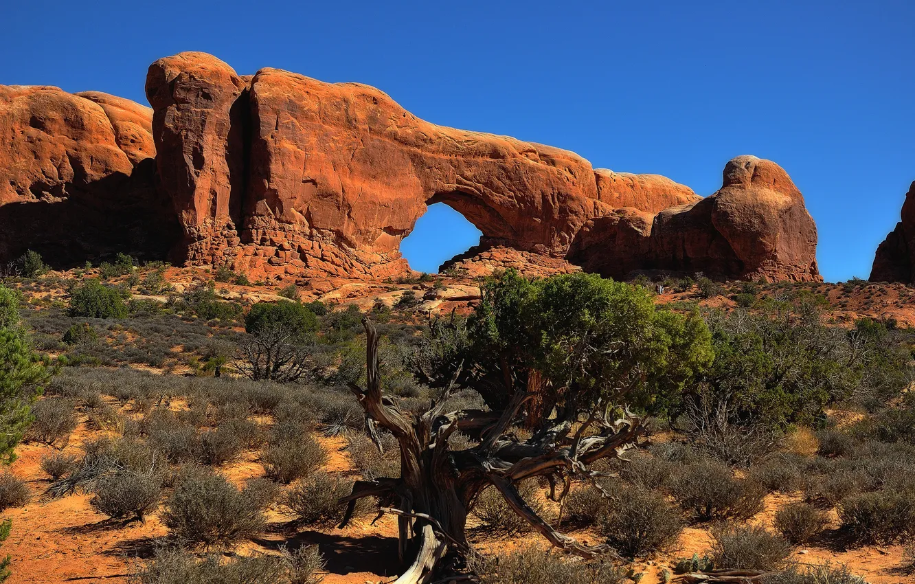 Фото обои небо, скалы, арка, сша, кусты, Arches National Park, uta