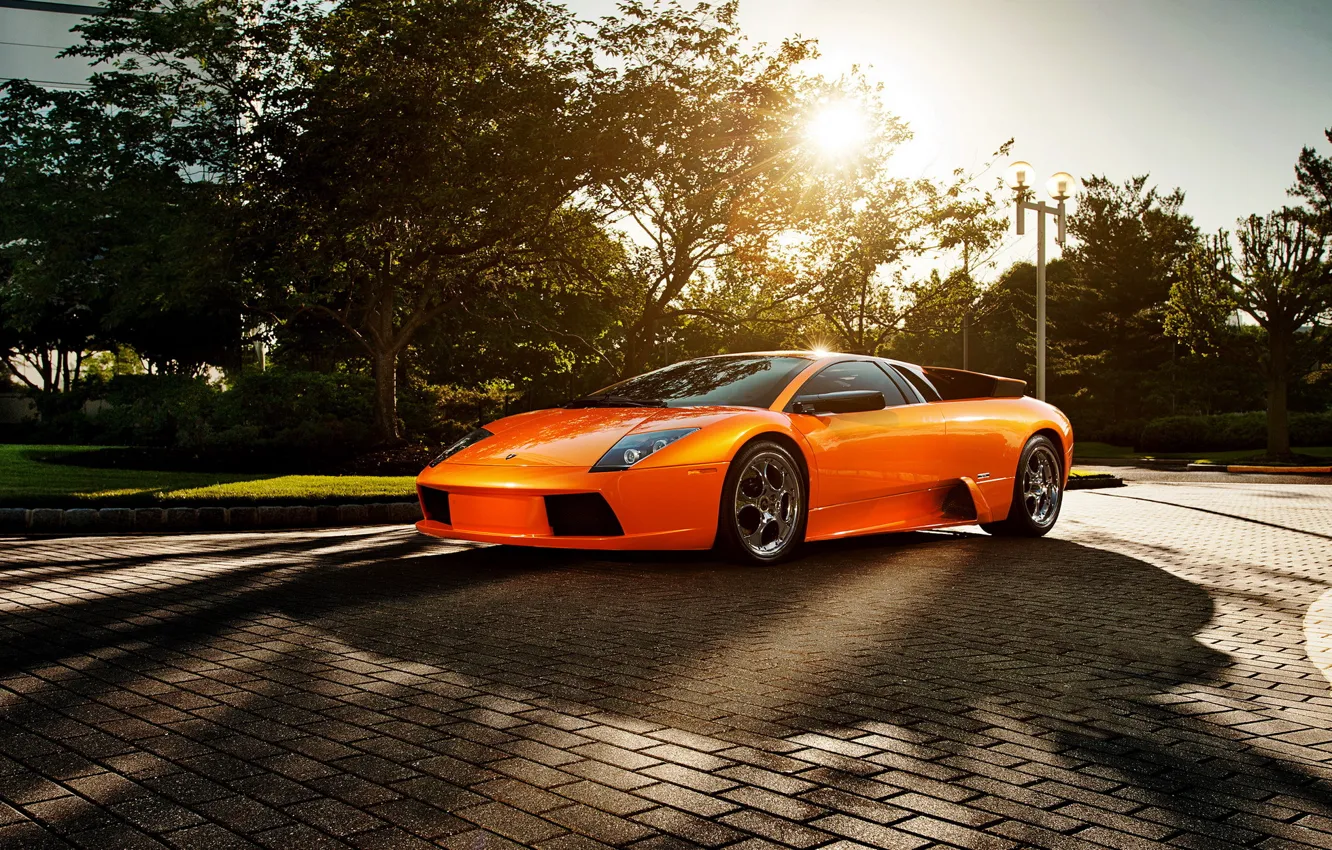 Фото обои солнце, оранжевый, supercar, блик, Lamborghini Murcielago, ламборгини