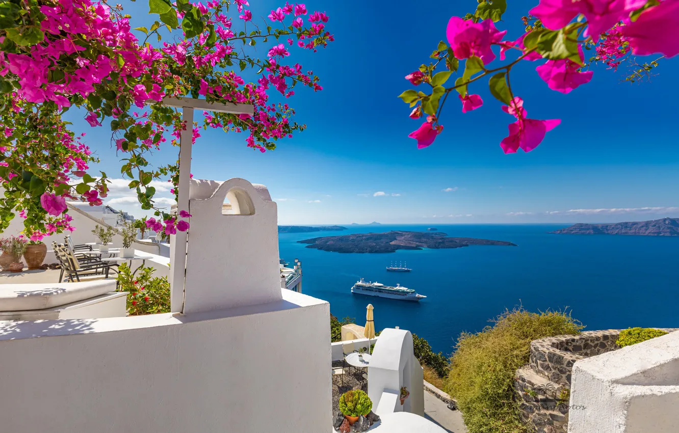 Фото обои море, цветы, остров, Санторини, Греция, лайнер, терраса, Santorini