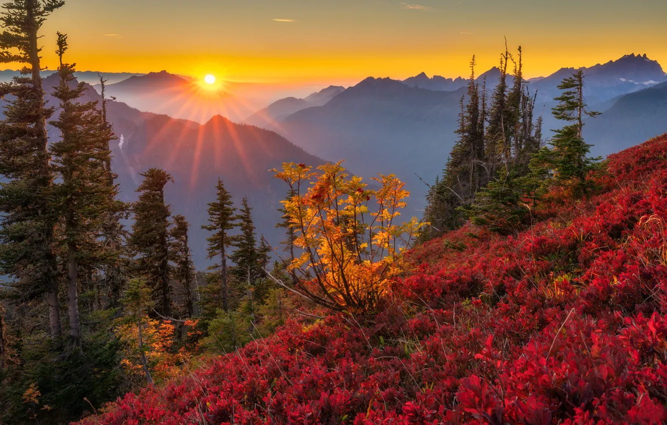 Фото обои осень, деревья, закат, горы, Каскадные горы, Washington State, Cascade Range, Штат Вашингтон