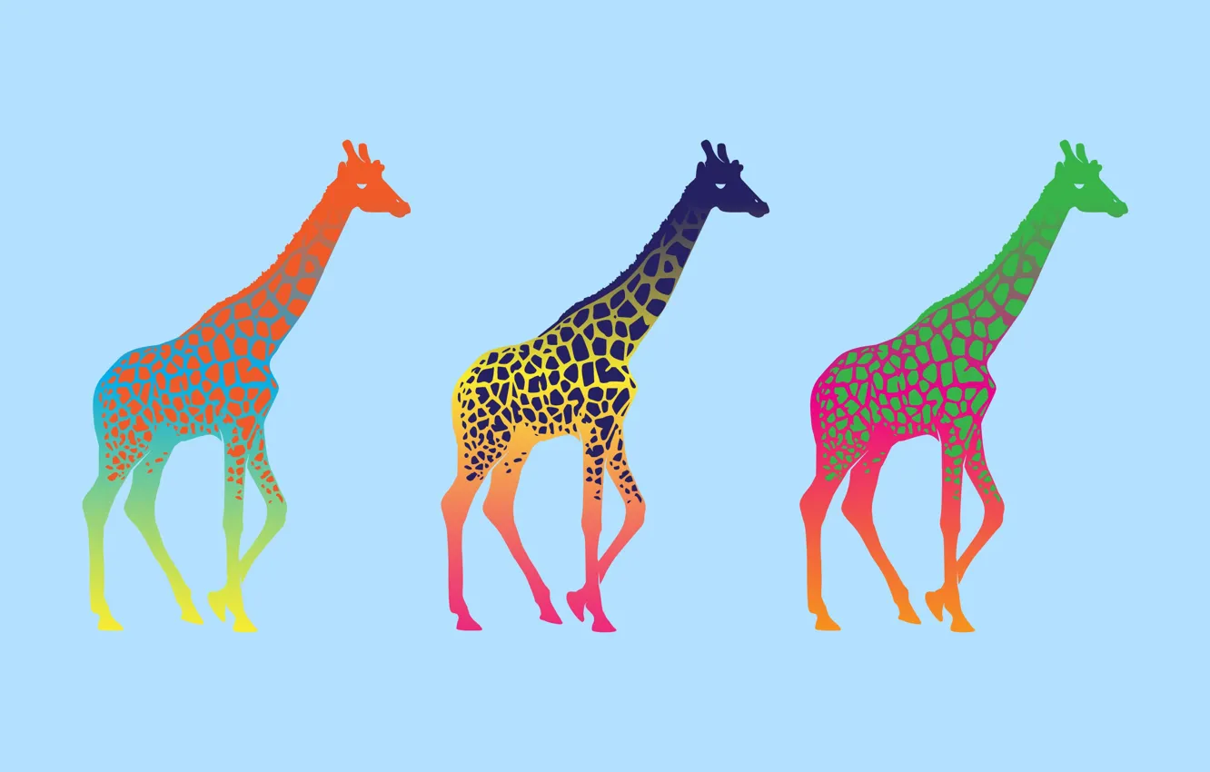Фото обои минимализм, жираф, разноцветный, giraffe, поп арт