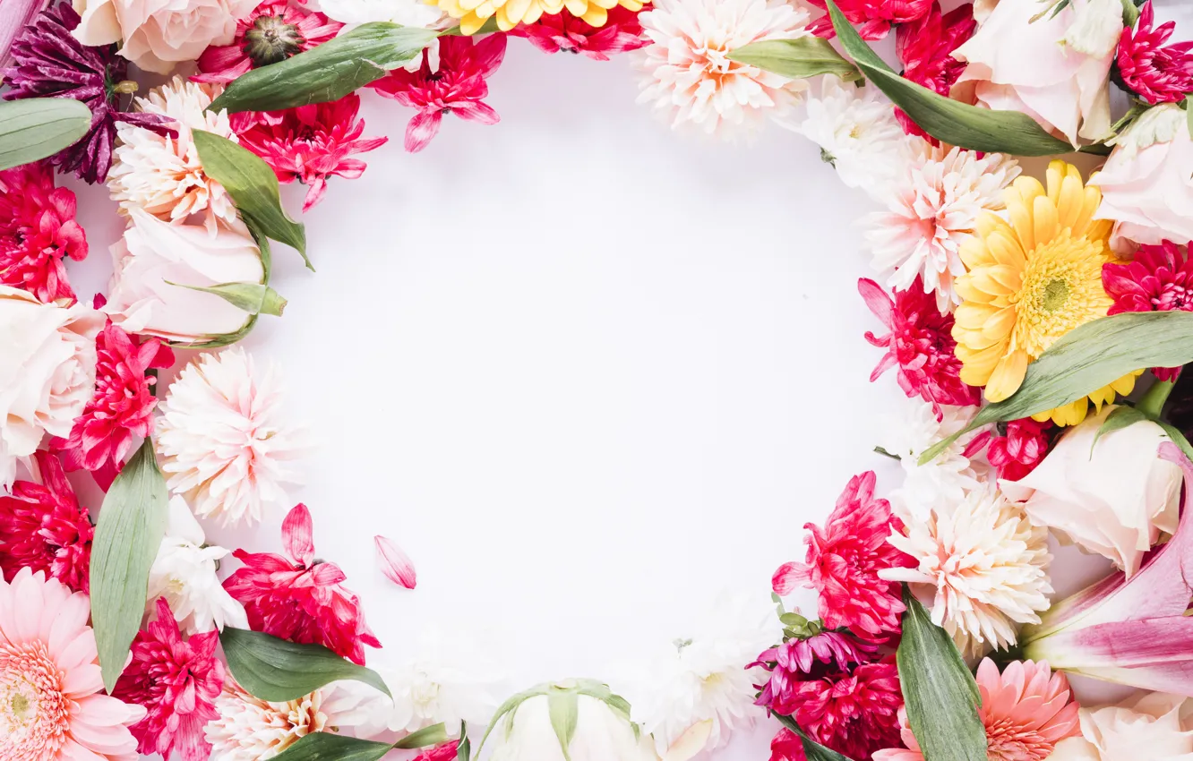 Фото обои цветы, рамка, colorful, pink, flowers, frame, floral