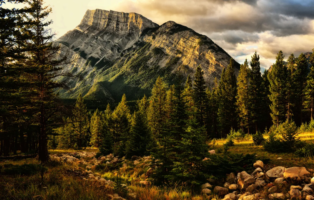 Фото обои деревья, природа, гора, Banff, Jeff R. Clow