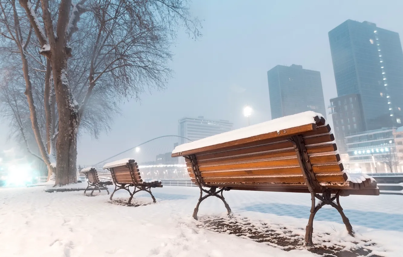 Фото обои city, winter, snow, tree, buildings, cold, urban, mist