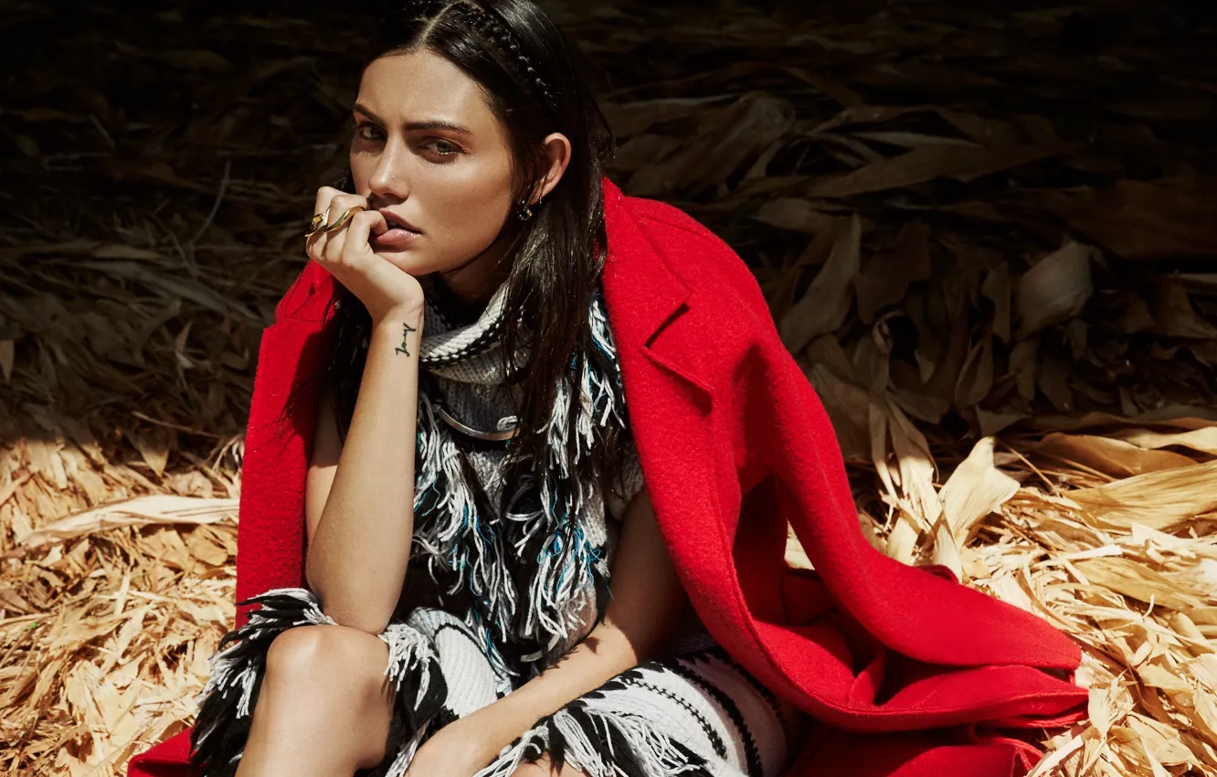 Фото обои актриса, Phoebe Tonkin, Фиби Тонкин