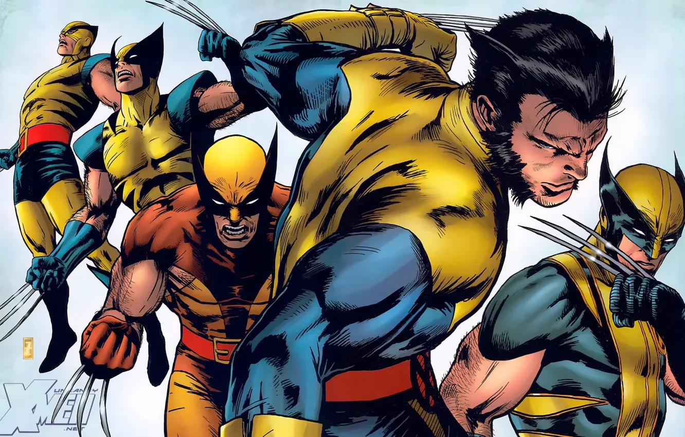 Фото обои маска, костюм, когти, Росомаха, Логан, Wolverine, X-Men, Logan