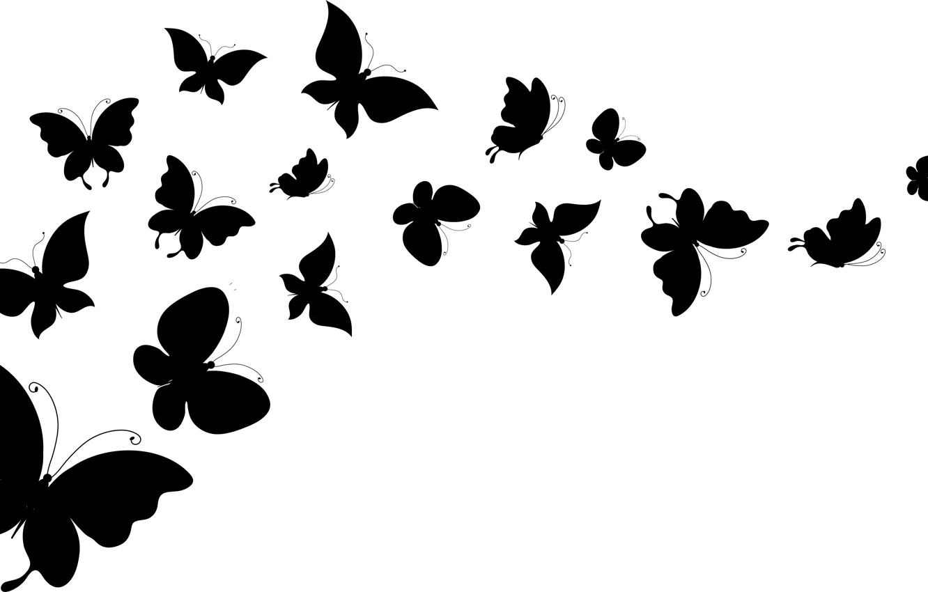 Фото обои белый, бабочки, фон, крылья, силуэты