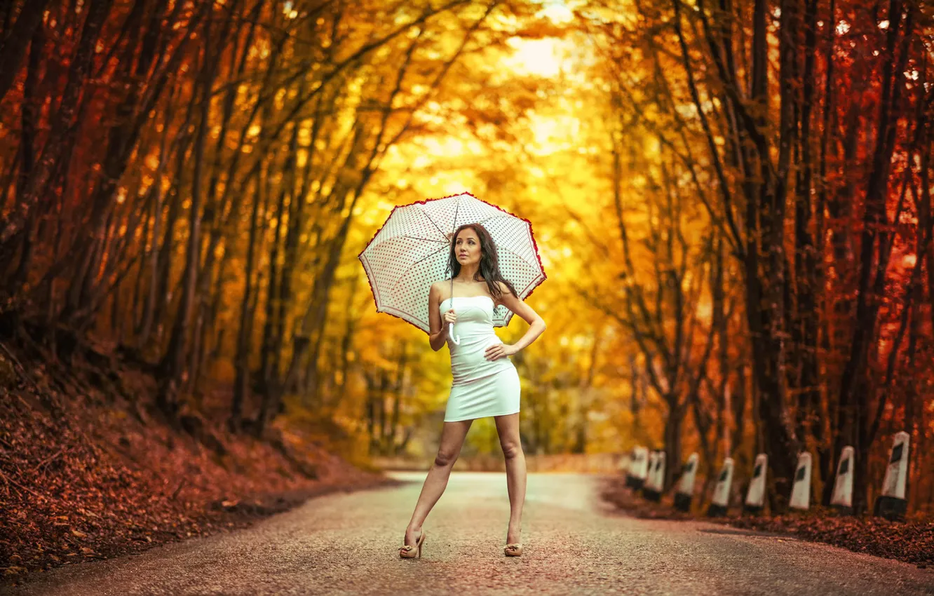 Фото обои девушка, зонт, платье, боке, Дорога в осень