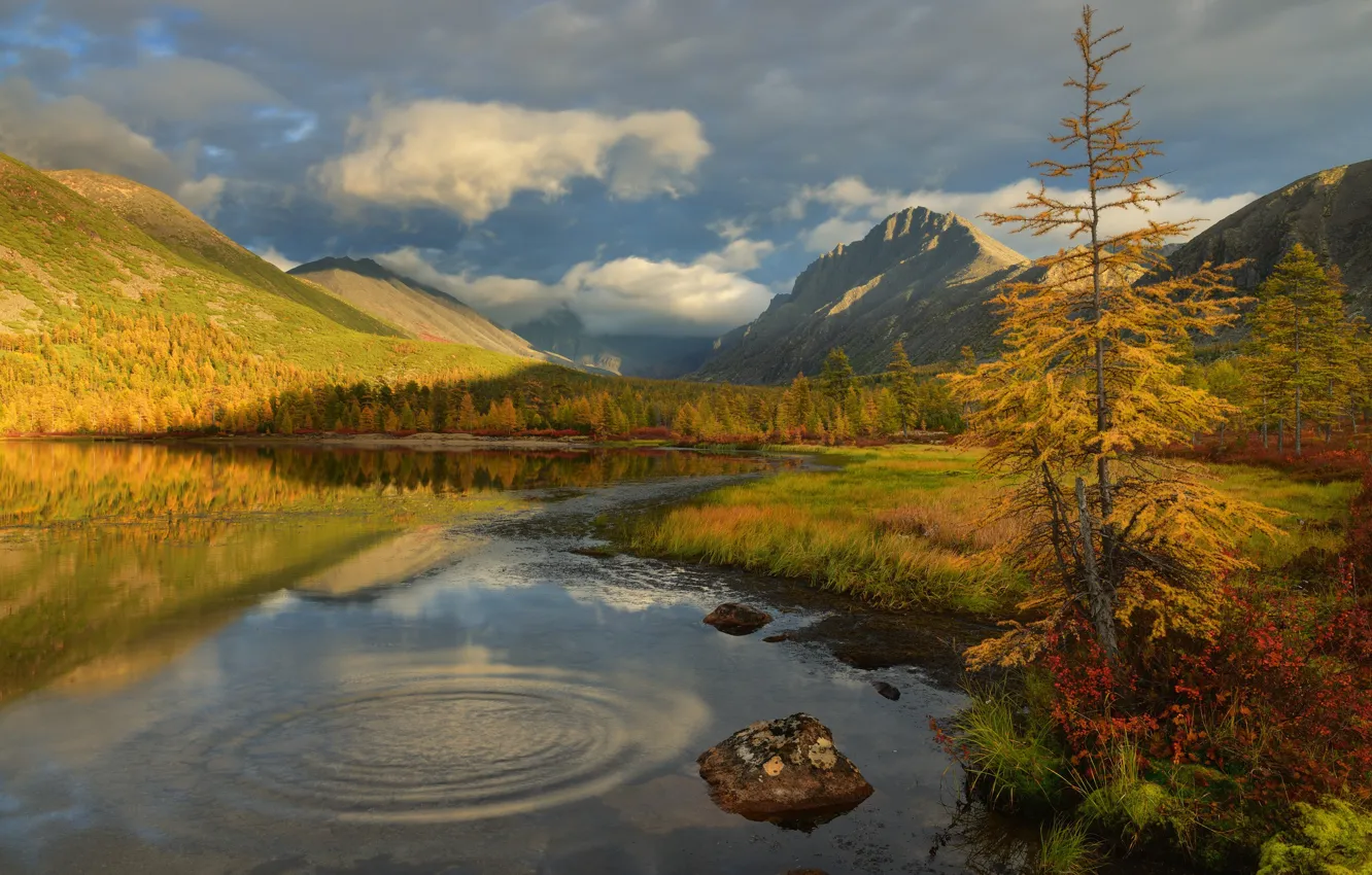 Фото обои осень, лес, облака, горы, озеро, отражение, берег, ель