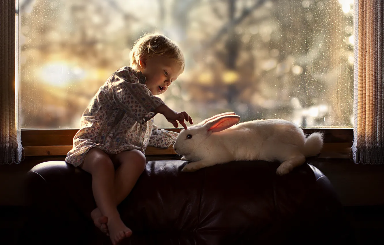 Фото обои белый, ребенок, кресло, мальчик, кролик, окно, ребёнок