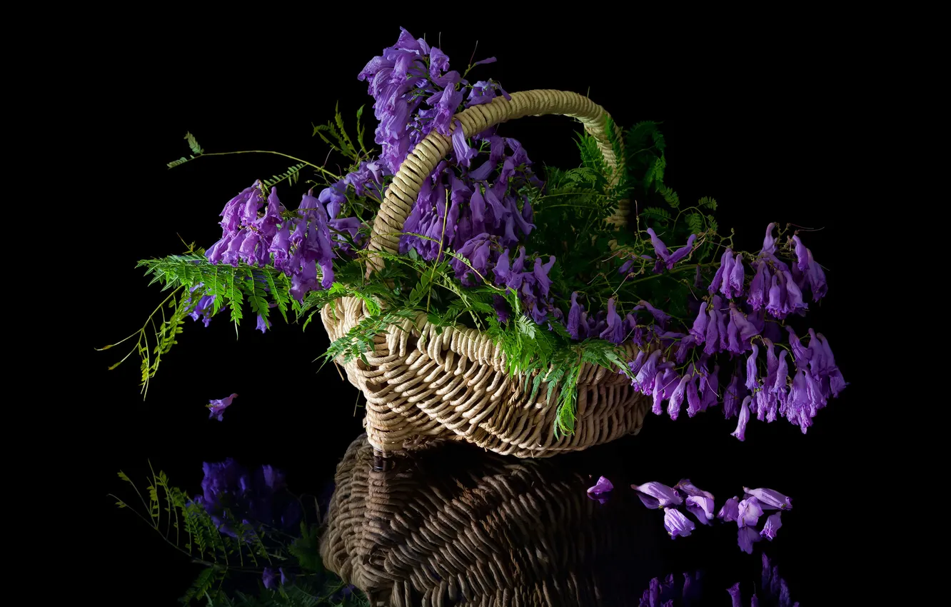 Фото обои листья, цветы, корзина, букет, цветение