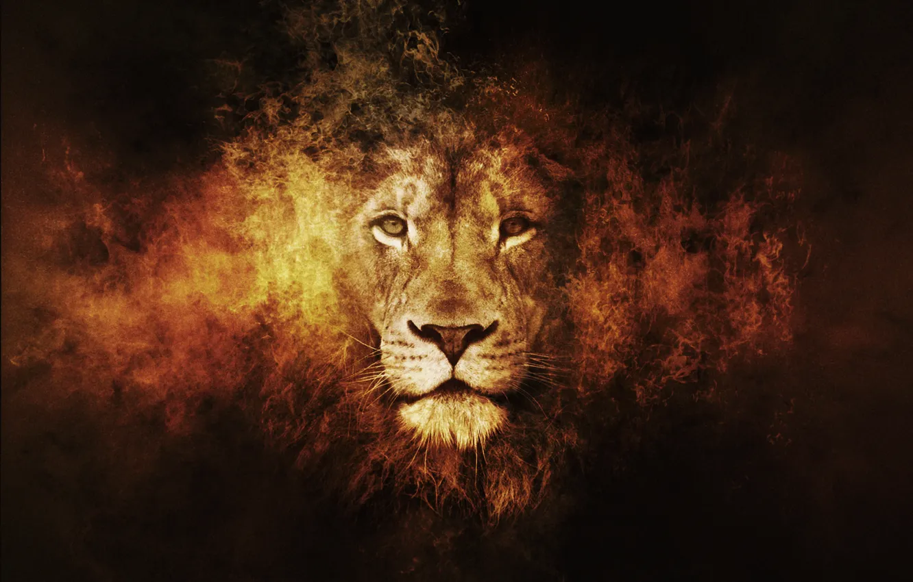 Фото обои лев, Fantasy, animals, lion