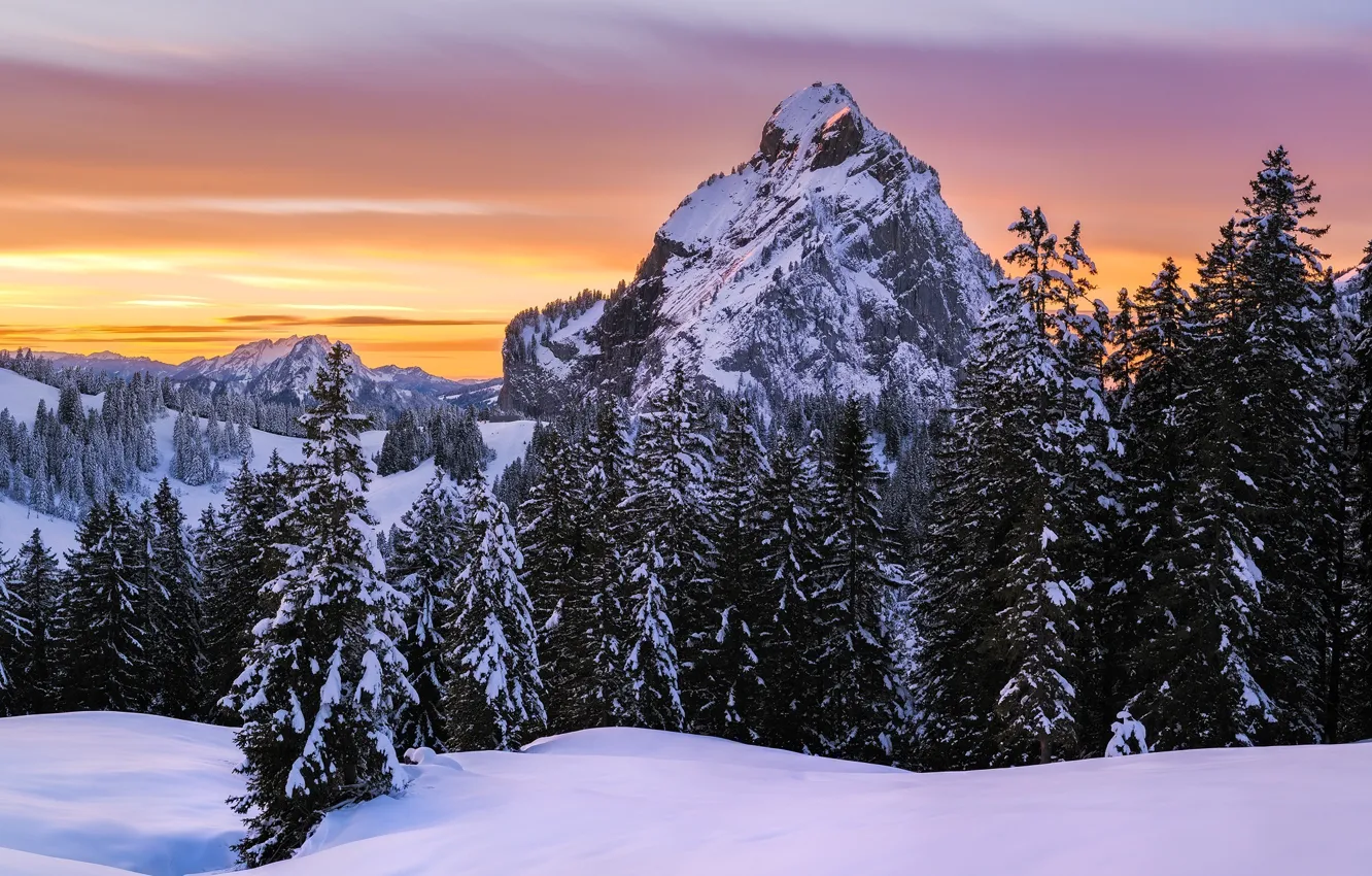 Фото обои зима, лес, снег, деревья, горы