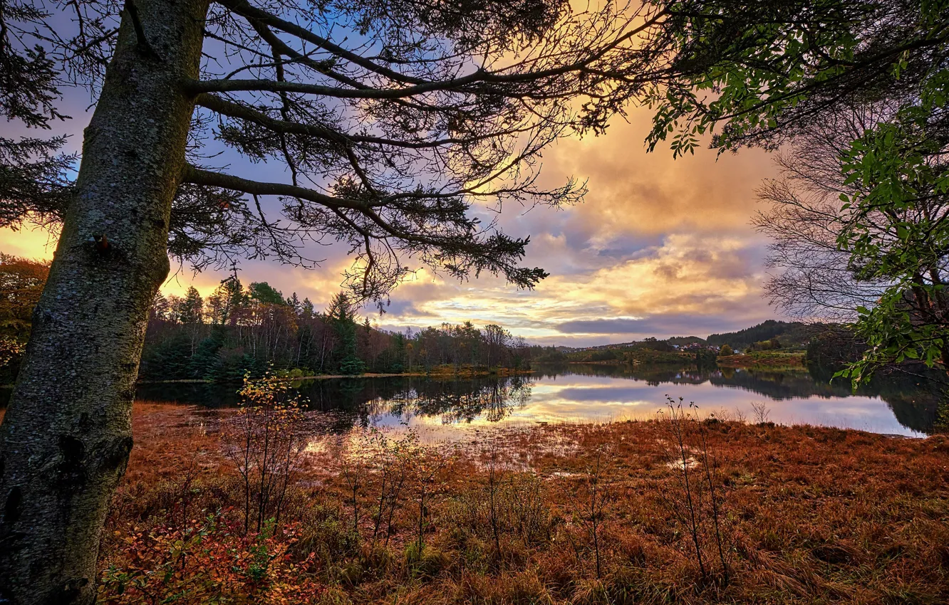 Фото обои осень, Норвегия, Norway, Rogaland
