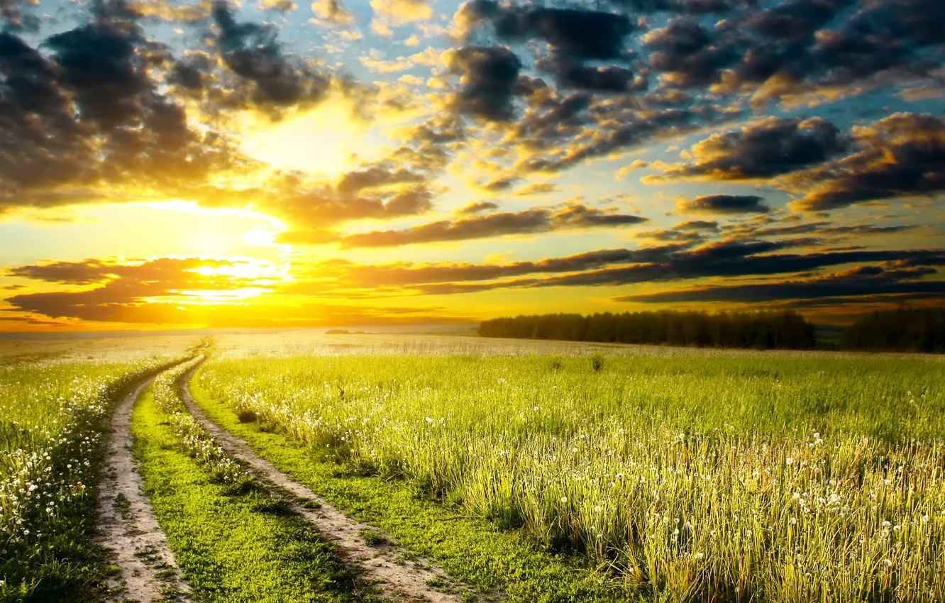 Фото обои дорога, небо, трава, солнце, облака, закат, природа, фото