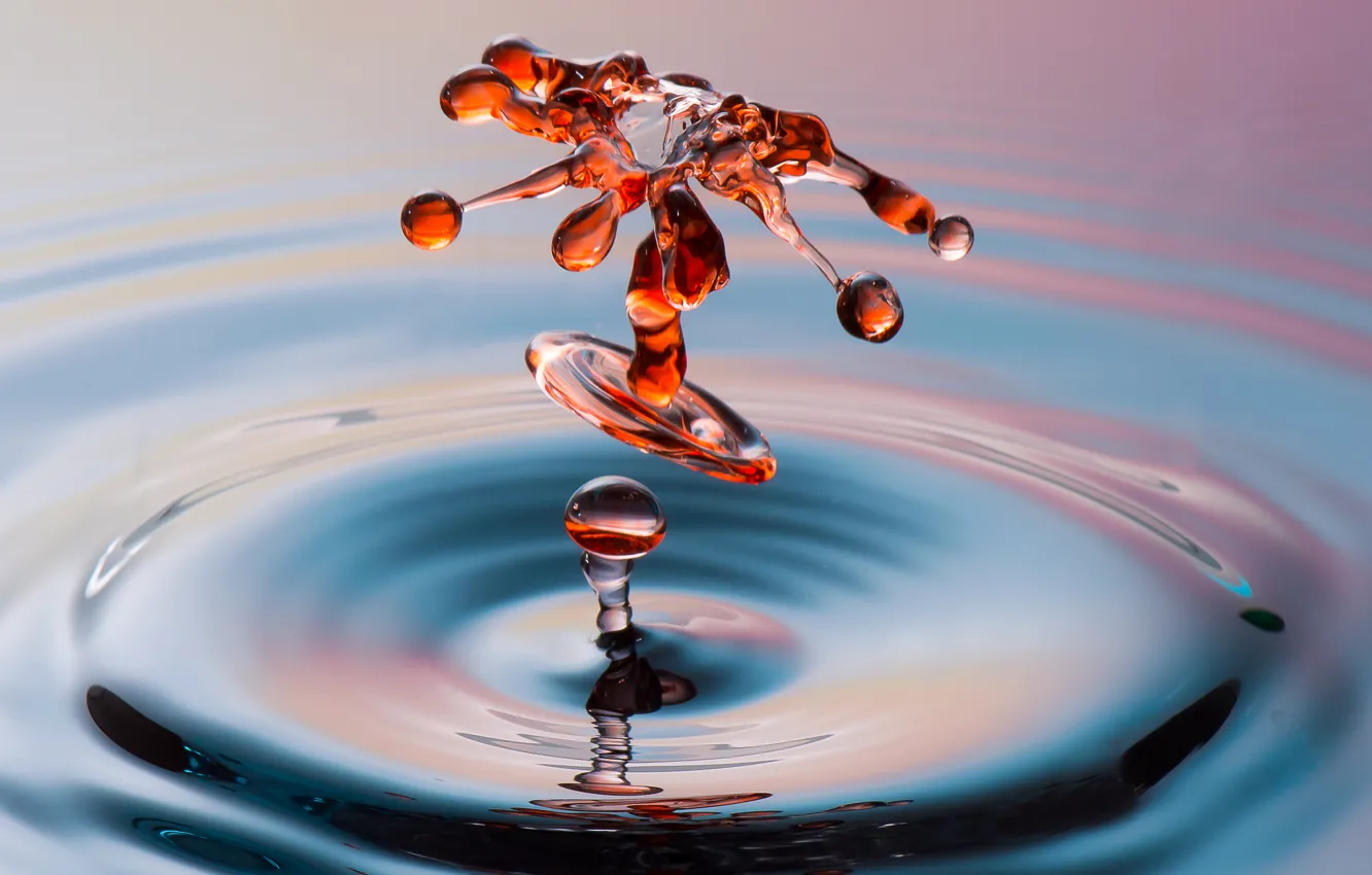 Фото обои вода, круги, брызги, цвет, капля, всплеск, жидкость