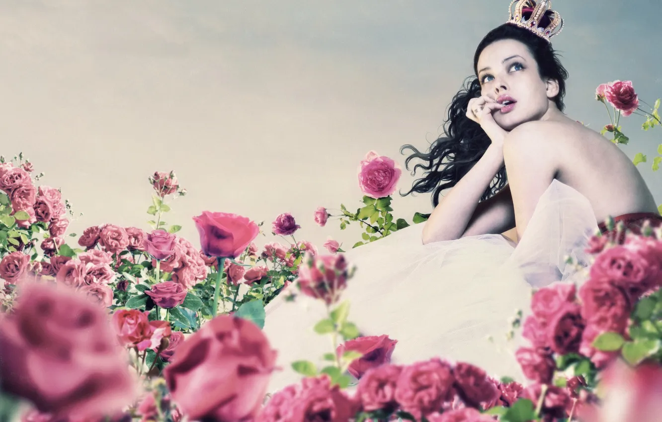 Фото обои взгляд, девушка, цветы, розы, корона, брюнетка