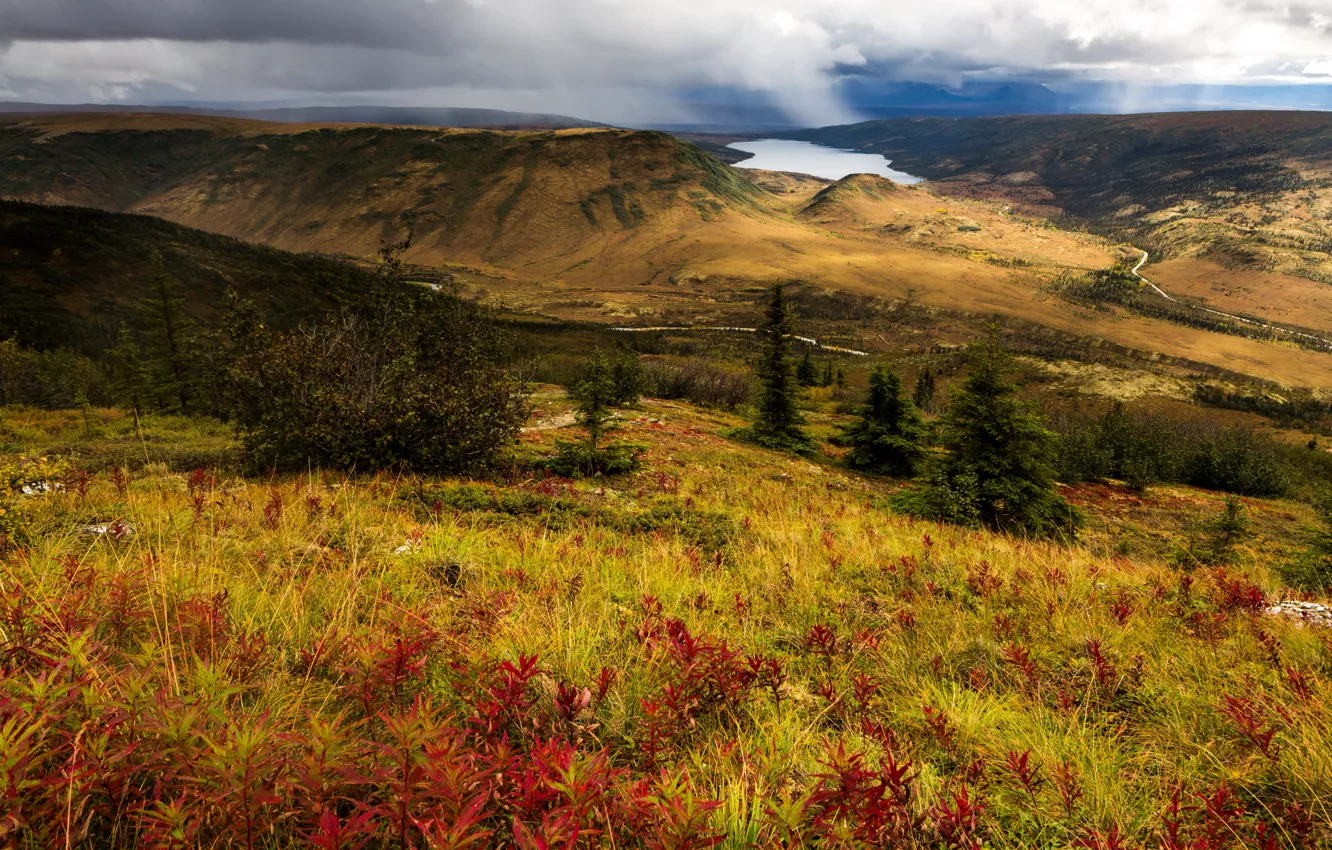Фото обои озеро, холмы, панорама, США, Alaska, Denali National Park
