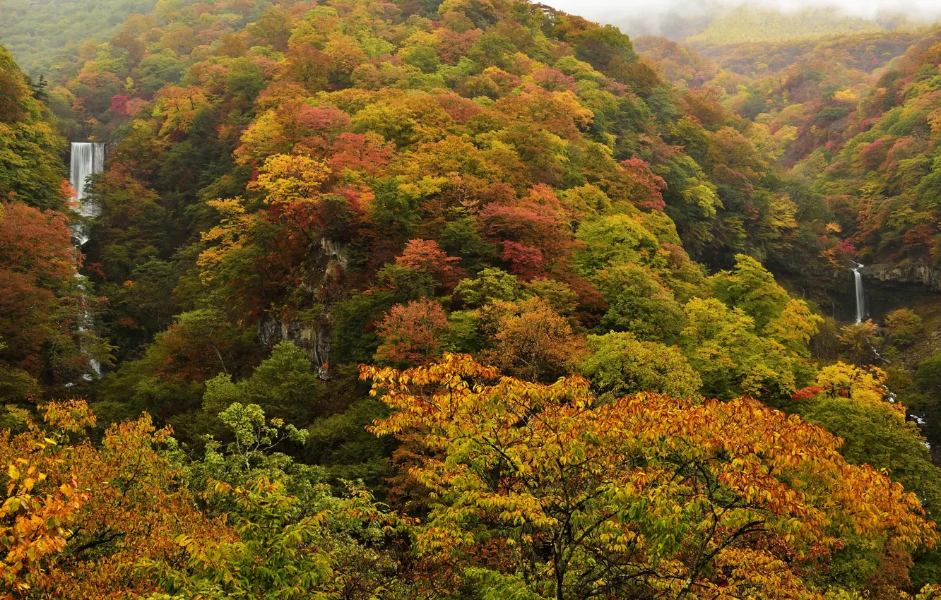 Фото обои осень, лес, деревья, скалы, водопады