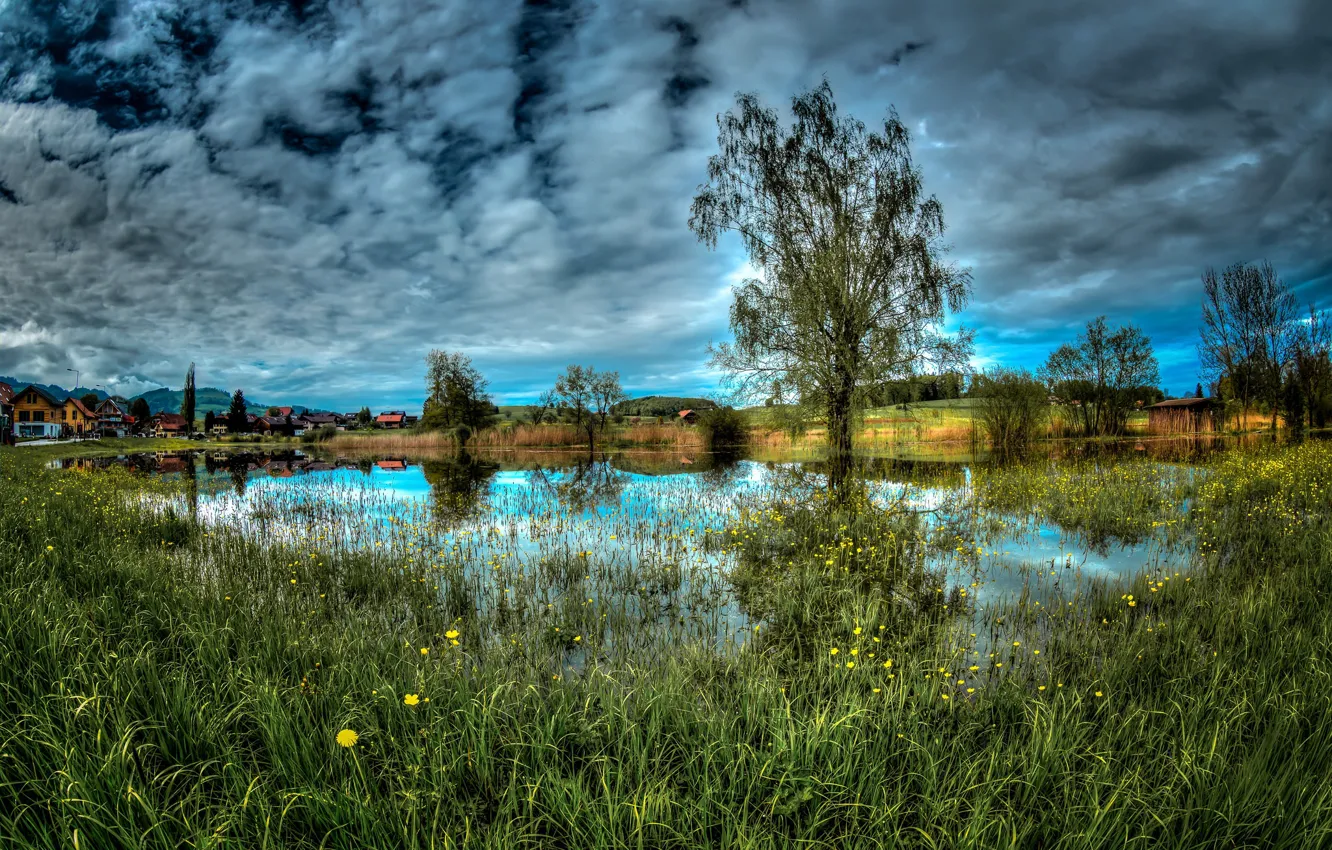 Фото обои небо, деревья, природа